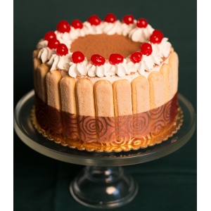 Zuppa Inglese Dessert Cake 
